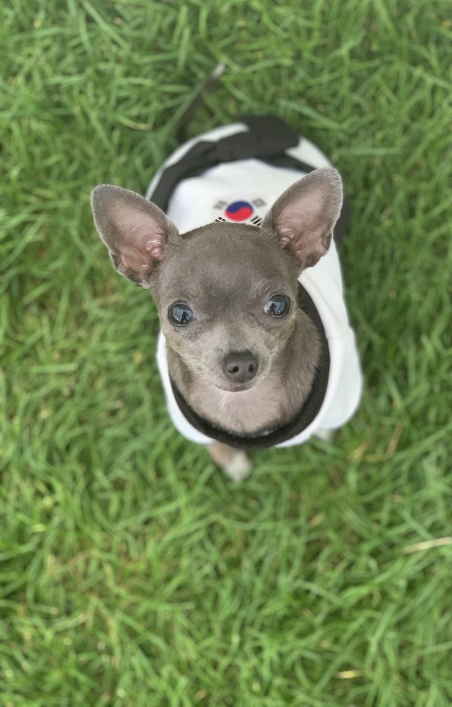 Lil Suka wearing a hanbok in Korea